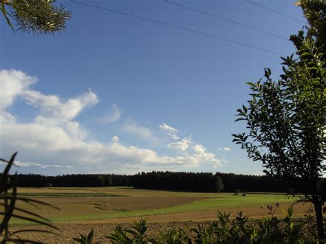 Friedhof Familie Schmid