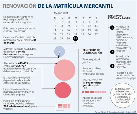 Seguid así amenazar Dime renovacion registro mercantil 2020 por favor