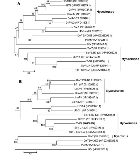 Inferred Neighbourjoining Trees Based On Cp A And Rdrp B Amino Acid