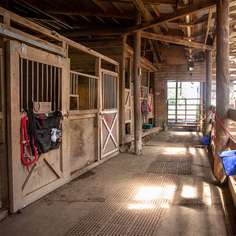 Horse Boarding Manitou Hill Farms