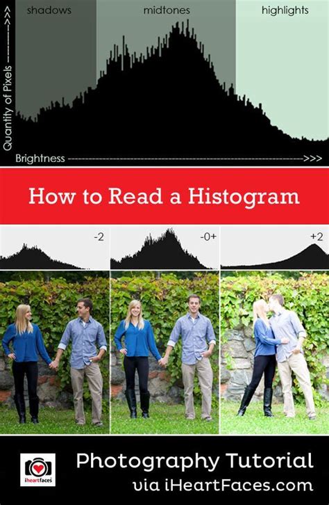 Cheat Sheet How To Read A Histogram Histogram Photography Images