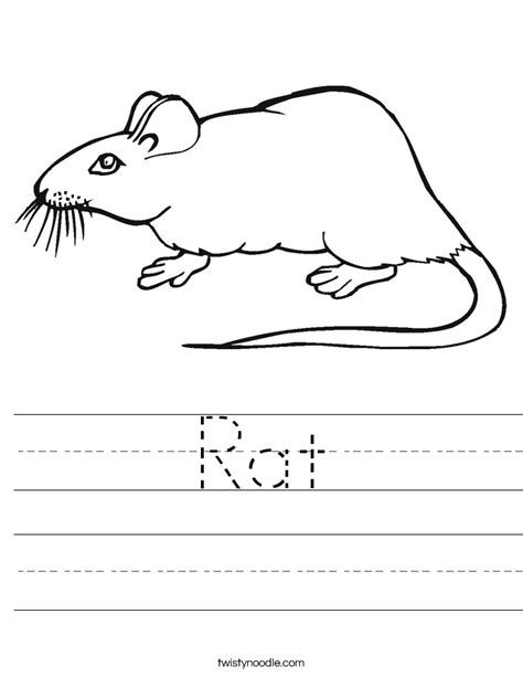 Rat Worksheet Twisty Noodle