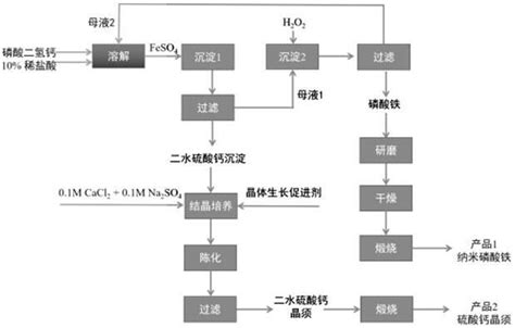 一种以硫酸亚铁为原料联产纳米磷酸铁和硫酸钙晶须的方法