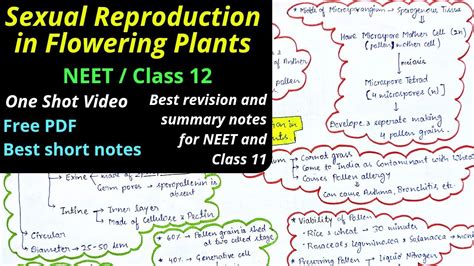 Sexual Reproduction In Flowering Plants Mind Map Neet Class One Shot