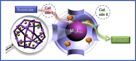 Confinement Self Assembly Of Metal Organic Cages Within Mesoporous