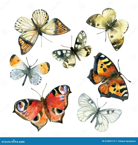 Watercolor Butterfly Set Stock Illustration Illustration Of Paint