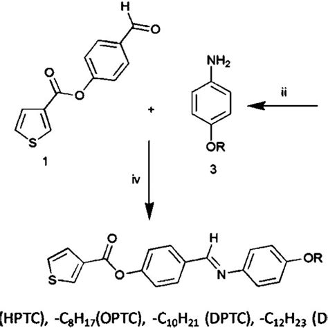 Scheme Synthesis Route Of E Alkoxy Phenyl Imino Methyl