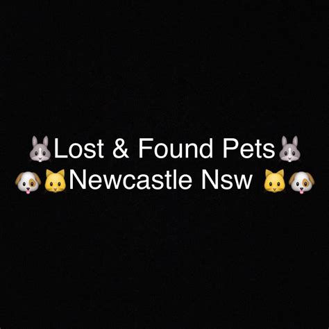 Lost & Found Pets Newcastle Nsw Australia