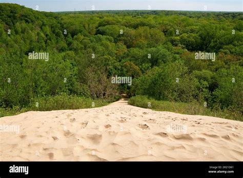 Hiking Trail Through The Sand Dunes On A Beautiful Spring Morning