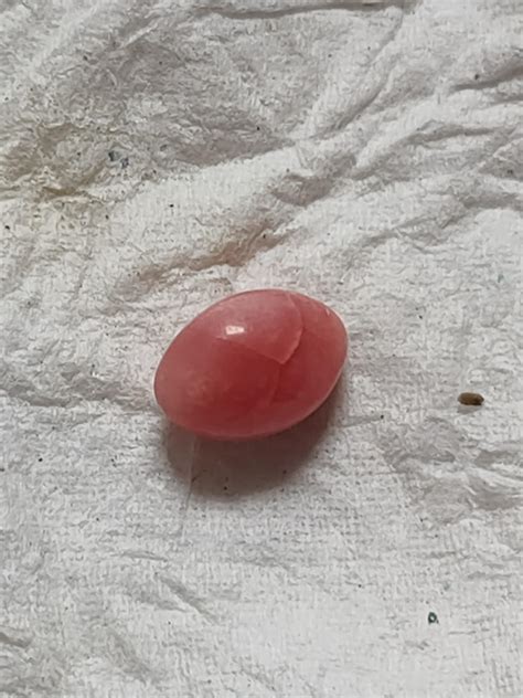 This Is A Mexican Pink Sea Snail Pearl Is This Valuable Rgemstones