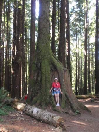 The Great American RoadTrip Forum - Arcata Community Forest - Arcata ...