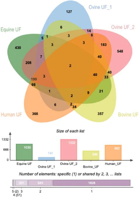 Comparative Analysis Of Uterine Evs Protein Cargo Among Species Venn