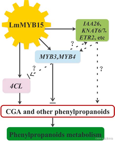 Dap Seq文章 Dap Seq技术在r2r3 Myb转录因子lmmyb15调控金银花绿原酸生物合成和苯丙素代谢的分子机制研究中的应用