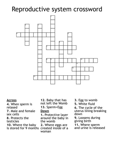 Reproductive System Crossword WordMint