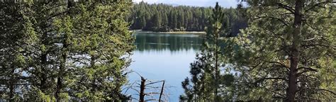 Alltrails Surveyors Lake Loop 46 Reviews Map British Columbia Canada