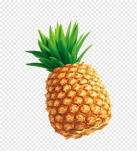 Ripe Pineapple Illustration Pineapple Tempting Pineapple Food