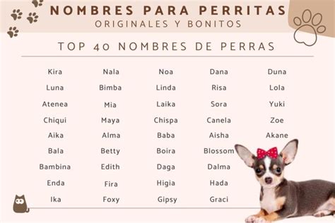 Quimera De Nombres Descubre Los Mejores Nombres Con Q Para Tu Beb