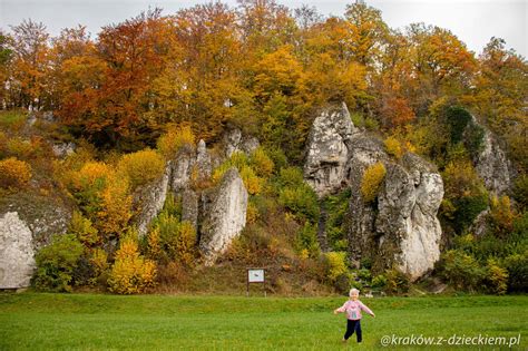 Dolina Pstrąga - Park Dubie i geologiczny plac zabaw Kraków z dzieckiem.pl