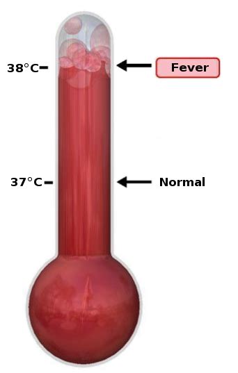 Free Fever Thermometer Cliparts, Download Free Fever Thermometer ...