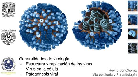 Introducci N A La Virologia Y Generalidades Iovanny Cruz Ojeda Udocz