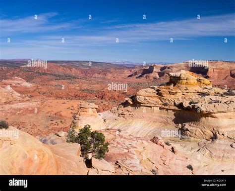 High Angle View Of The North Coyote Buttes Area Of Vermilion Cliffs