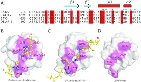 Comparison Of The Bs Mynd Ebna Interaction With Those Of