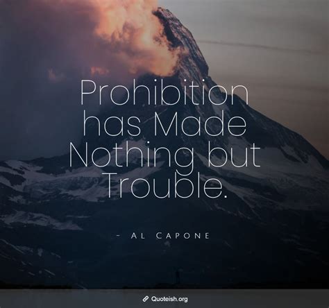 Prohibition Quotes - ShortQuotes.cc