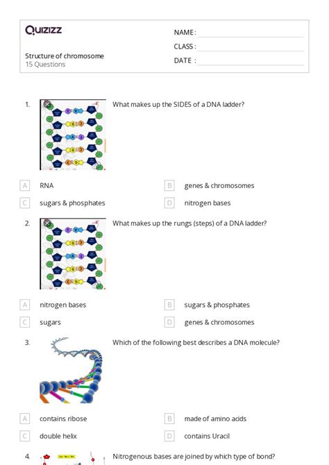 50 Chromosome Structure And Numbers Worksheets On Quizizz Free