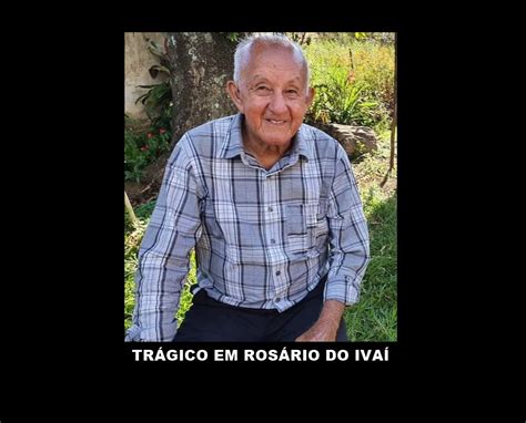 Trag Dia Idoso De Anos Morre Ap S Ataque De Abelhas Ta