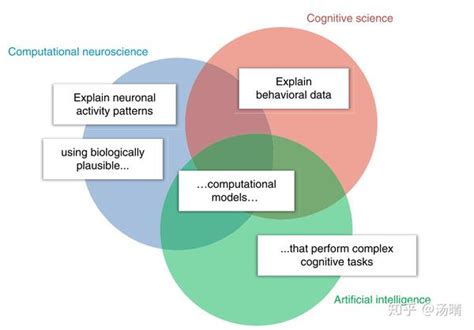 认知计算神经科学的发展一 知乎