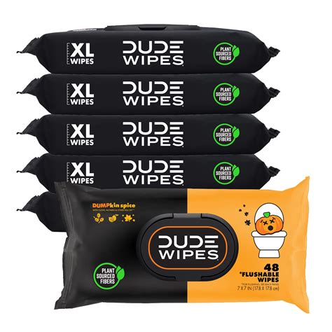 Amazon DUDE Wipes Flushable Wipes 6 Pack 288 Wipes DUMPkin