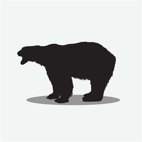 Bear vector png 31114360 Vector Art at Vecteezy