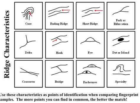 Fingerprints 6enders