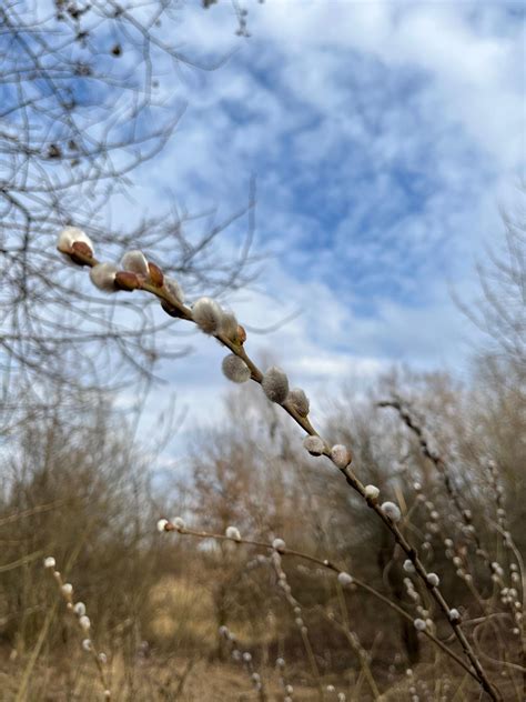 Ile trwa terapia Gestalt? Od czego zależy czas trwania procesu?