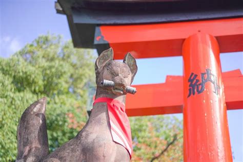 Kyoto Hour Fushimi Inari Shrine Hidden Hiking Tour