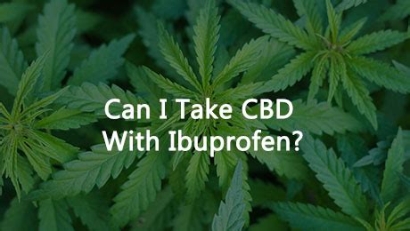 Can I Take CBD With Ibuprofen VapingKool