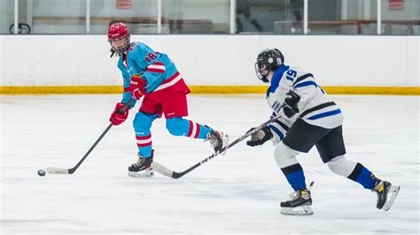 Girls High School Hockey Arrowhead Co Op Vs Lakeshore Lightning Co Op