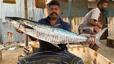 Vanjaram Fish Kasimedu Speed Selvam Outstanding Cutting Skills Video