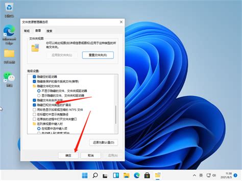 Win11怎么打开文件后缀名windows11打开文件后缀名方法 53软件园