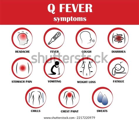 Q Fever Disease Symptoms Vector Icon Stock Vector Royalty Free