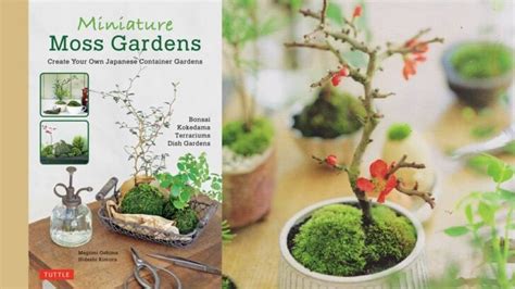 Make A Miniature Moss Bonsai Garden