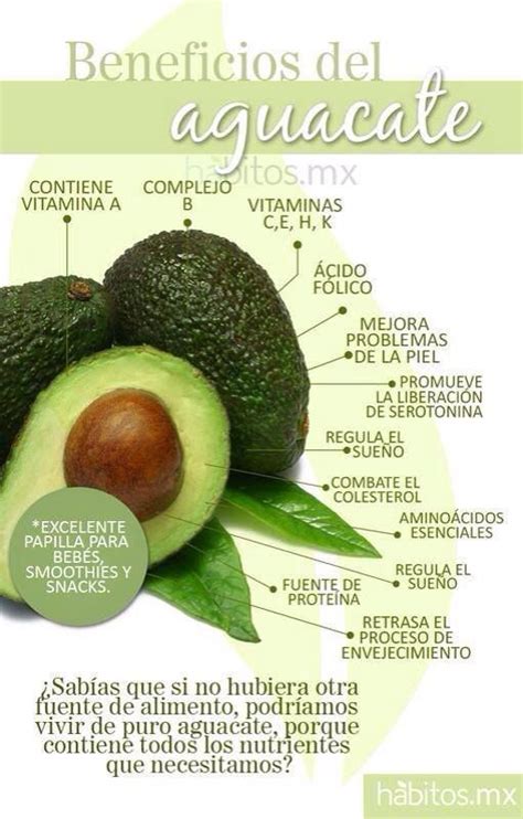 Los Beneficios Del Aguacate Inclúyelo En Tus Comidas