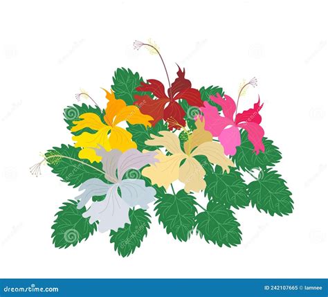 Bunga Raya Clipart Ink Vector Brush Stroke Hibiscus Flowers Isolated