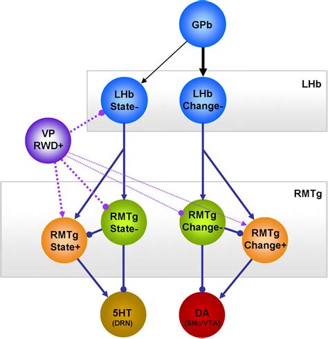 Negative Reward Signals From The Lateral Habenula To Dopamine Neurons