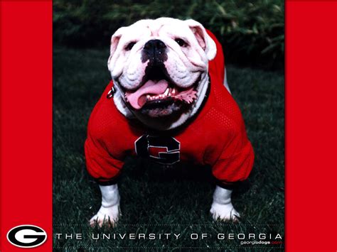 🔥 [49+] Georgia Bulldogs Wallpapers Desktop | WallpaperSafari