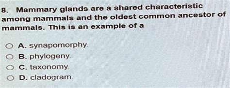 Solved Mammary Glands Are A Shared Characteristic Among Mammals And