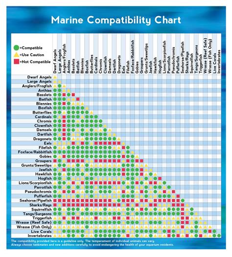 Marine Animal Compatibility Chart Saltwater