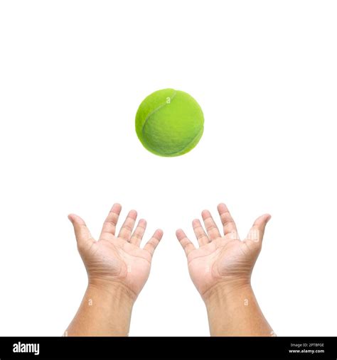 Hand Holding Tennis Ball On White Background Stock Photo Alamy