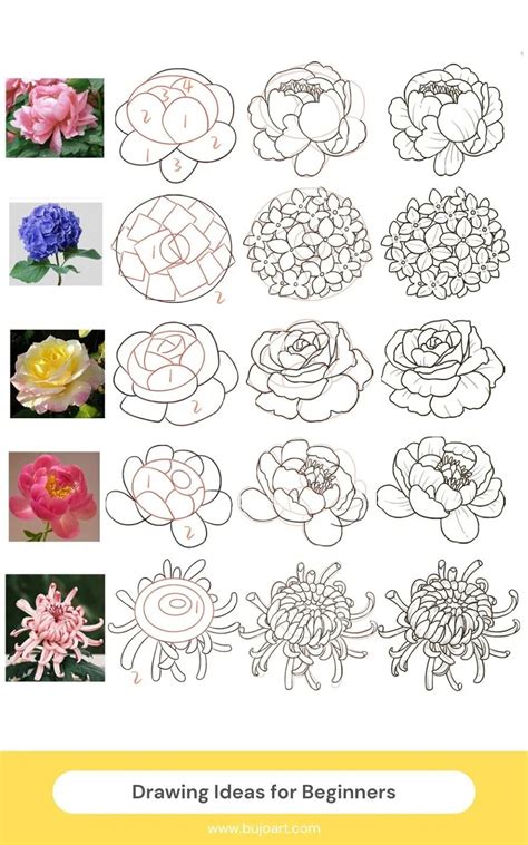 Best 13 32 Drawing Ideas Easy Doodles Of Plants Artofit