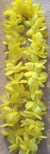 Spirit Yellow Hawaiian Lei – Party America